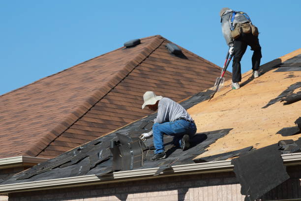 Best Rubber Roofing (EPDM, TPO)  in Tiptonville, TN