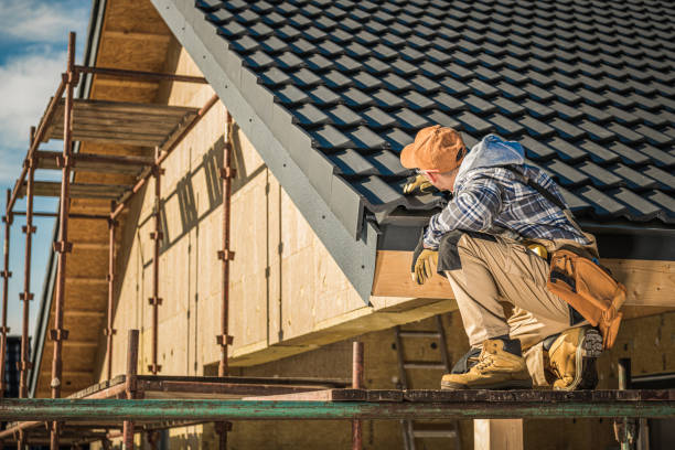 Best Roof Moss and Algae Removal  in Tiptonville, TN