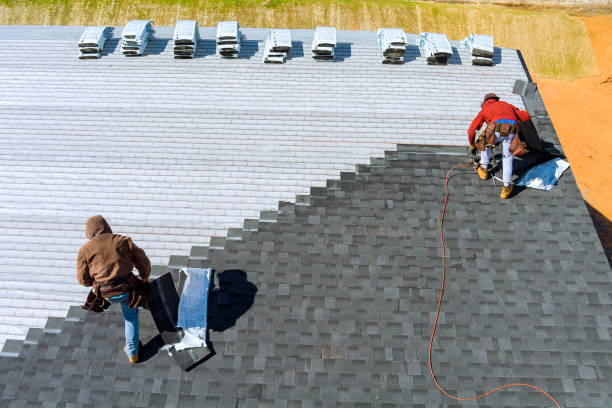 Best Roof Insulation Installation  in Tiptonville, TN
