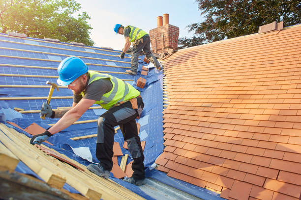 Best Hot Roofs  in Tiptonville, TN